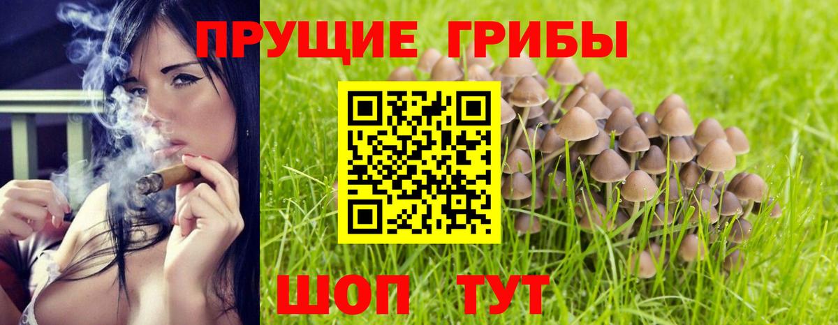Галлюциногенные грибы прущие грибы  Вход с VPN  Галлюциногенные грибы Magic Shrooms  Камышлов 