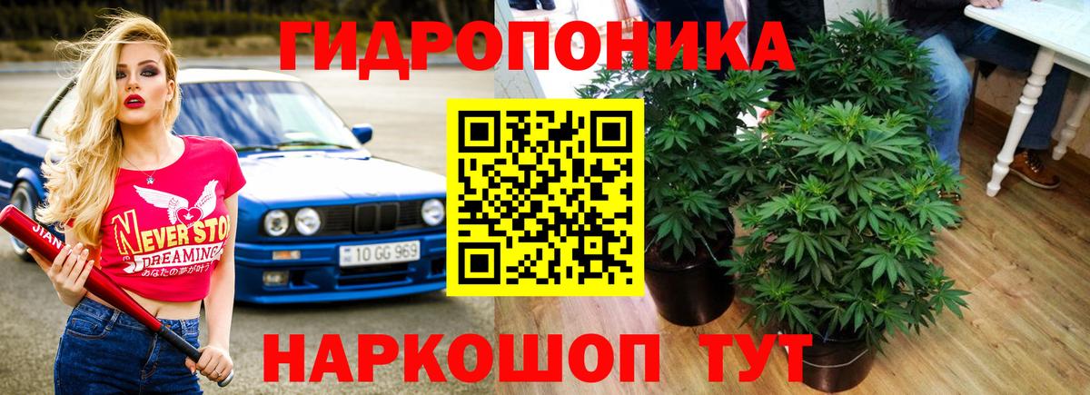 Камышлов  Шишки марихуана VHQ  Каннабис MAZAR  Канабис MAZAR  Вход с VPN 